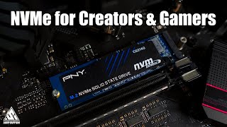 Best Value NVMe for Creators & Gamers! | PNY CS2140 M.2 NVMe Gen4 SSD
